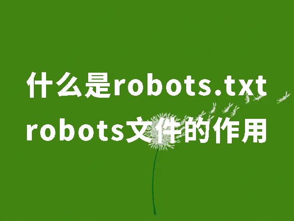 什么是robots.txt,robots.txt有什么作用